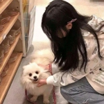 精准的神枪手无敌版